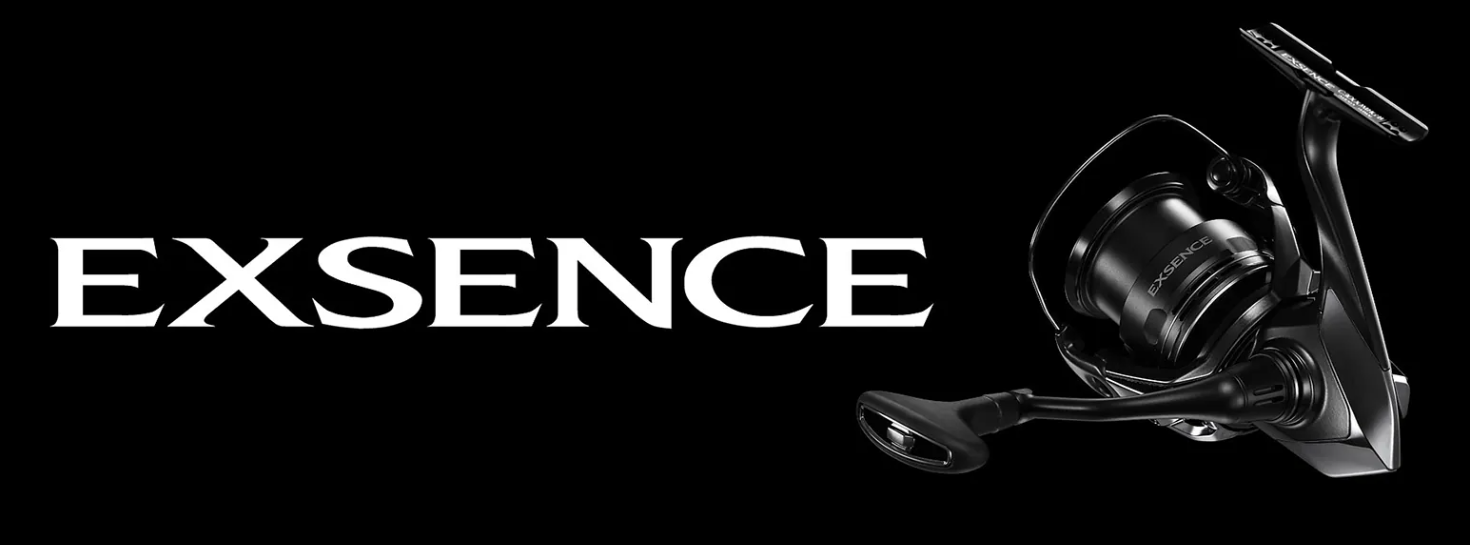 Exsence 2025 Exsence 2025