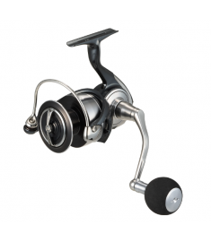 24 Certate SW 6000-P