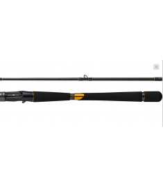 Daiwa MORETHAN BRANZINO EX AGS 80HB