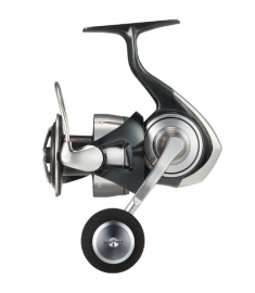 24 Certate SW 6000-P