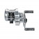 26 Calcutta Conquest BFS Limited